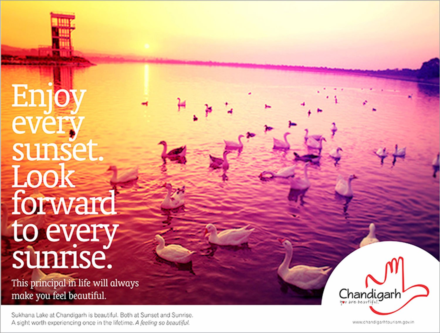 The Chandigarh Experience · Print 04